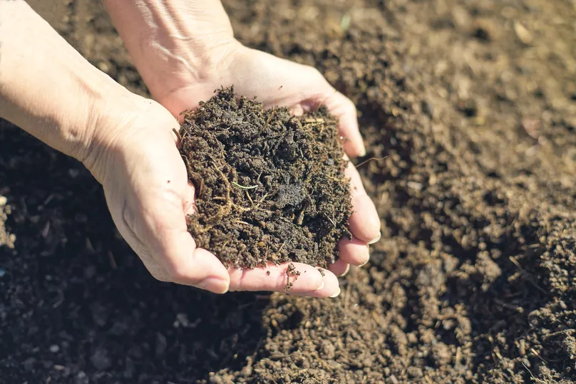 Open hands holding recycled organic material