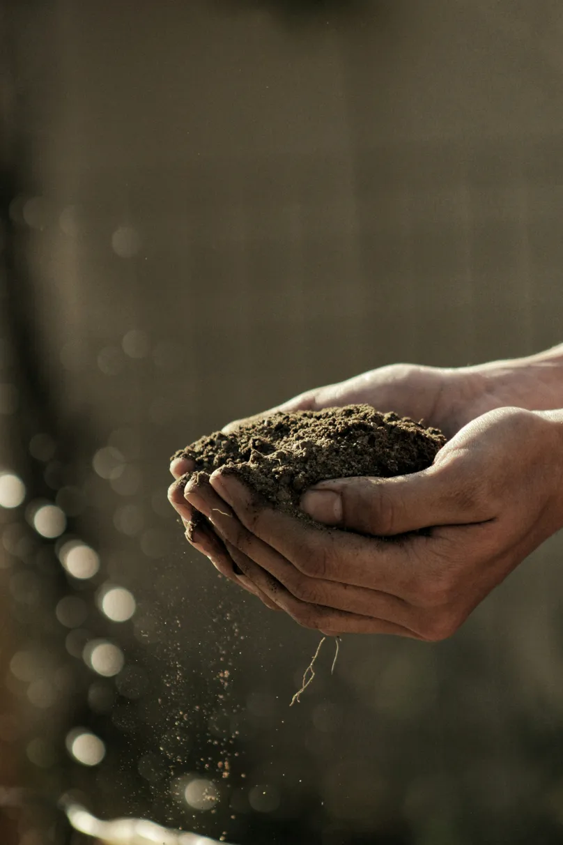 hands with soil